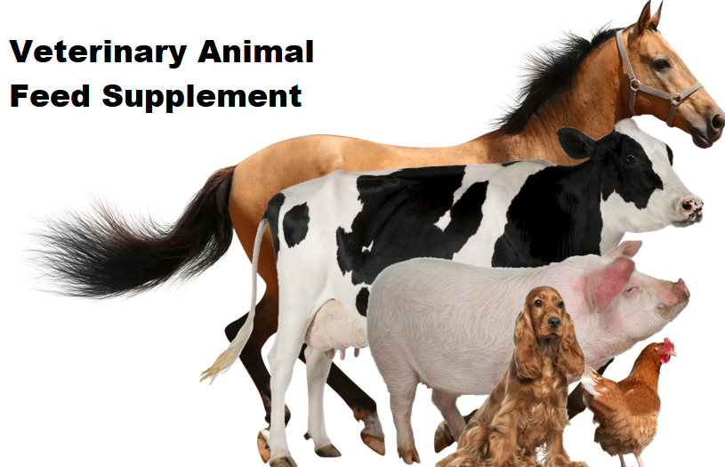 Cattle Feed Supplements in India